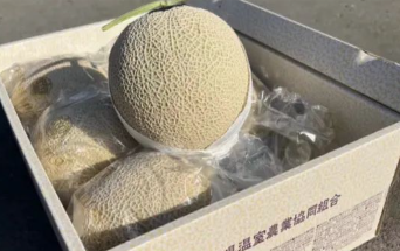一个日本静冈蜜瓜要600元！你被这些“洋水果”背刺过吗？