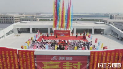 襄阳东津：鸿凯智能制造产业园主体结构封顶
