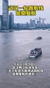 武汉一轮渡航线延期复航