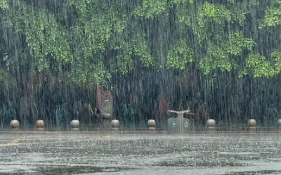 暴雨+大风来了！今天湖北连发82条预警，请提前出门