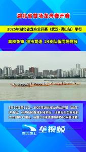 2025年湖北省首场龙舟赛在武汉南湖开赛