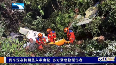 货车深夜侧翻坠入半山坡 多方紧急救援伤者