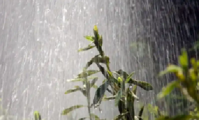 气温跌至“1”字头！今日湖北天气晴朗宜晾晒 明晚起新一轮降雨降温开启 