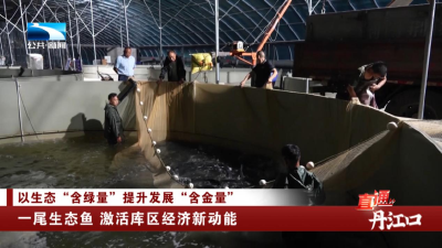 十堰丹江口：一尾生态鱼 激活库区经济新动能