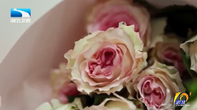 看花眼 走花路 湖北花卉“香”正浓