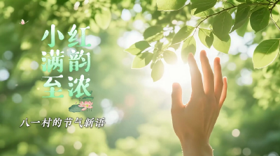 小满至红韵浓：黄冈红安八一村的节气新语