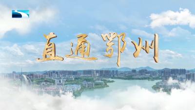 直通鄂州 | “小城大美”引八方客 小众游让鄂州火出圈