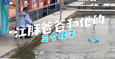 江豚爸爸丁泽良和他的三个孩子