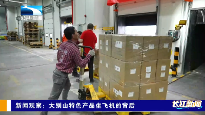 新闻观察：大别山特色产品坐飞机的背后