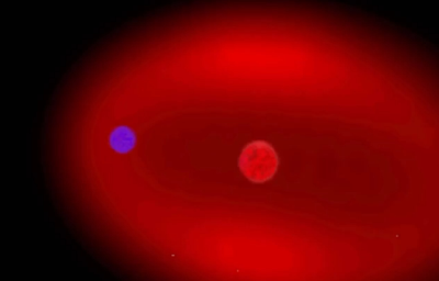 中国科学家发现罕见掩食脉冲星