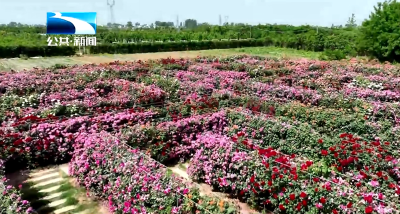 “五一”假期·旅游｜天门：花漾“五一”醉游人