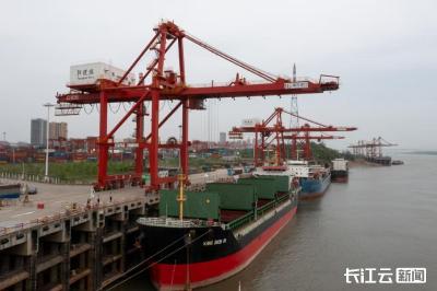 从“九省通衢”到“九州通衢” 武汉港直航业务量何以夺得长江中上游港口“五连冠”？