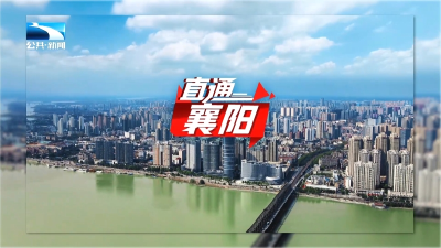 直通襄阳 | 宜城：科技为“三夏”赋能 农旅与夜经济升温