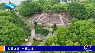 初夏江城 一路生花