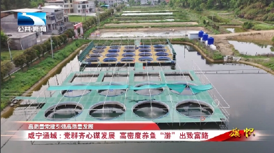 高质量党建引领高质量发展 | 咸宁通城：党群齐心谋发展  高密度养鱼 “游”出致富路