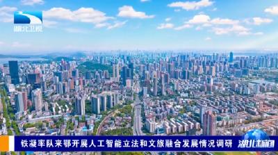 铁凝率队来鄂开展人工智能立法和文旅融合发展情况调研