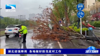 湖北迎强降雨 各地做好防范应对工作