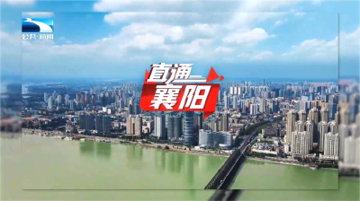 直通襄阳 | 谷城：“两资三能”促发展 山区小城迎来县域经济发展热
