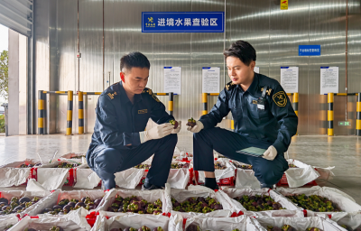 查验到放行仅1小时 东盟应季水果鄂州花湖抢“鲜”通关