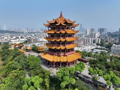 全民营养周｜吃动平衡 健康体重 全民行动