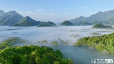 今日份浪漫！神农架大九湖晨雾海棠织就人间仙境
