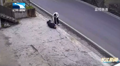 老人突然晕倒公路边 护士迅速出手施救