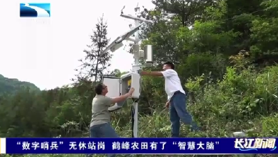 “数字哨兵”无休站岗  鹤峰农田有了“智慧大脑”