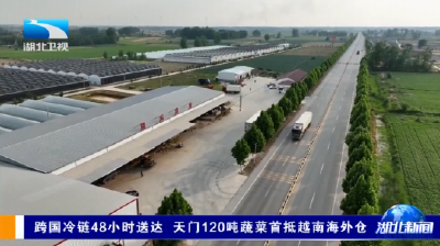 跨国冷链48小时达 天门120吨蔬菜首抵越南海外仓