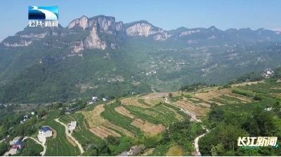 恩施建始：梯田开秧敬谷神 千年农耕焕新景