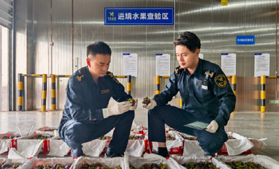 东盟应季水果在鄂州花湖抢“鲜”通关