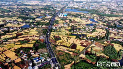 襄阳南漳：金色大地美如画