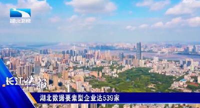 湖北数据要素型企业达539家