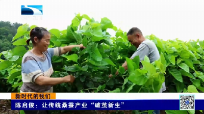 新时代的我们 | 陈启俊：让传统桑蚕产业“破茧新生”