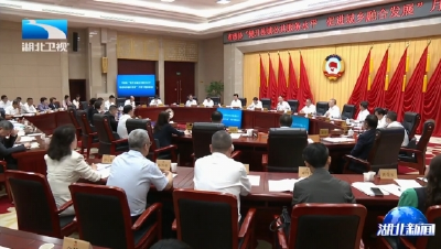 省政协“提升县城公共服务水平 促进城乡融合发展”月度专题协商会召开