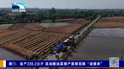 荆门：亩产228.2公斤 高油酸油菜测产喜提亮眼“成绩单”