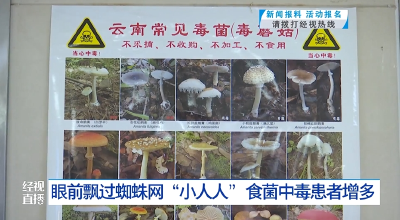 眼前飘过蜘蛛网“小人人” 食菌中毒患者增多