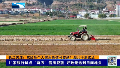 长江关注：农民凭个人信用价值可贷款？湖北十地试点