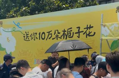 10万朵栀子花免费送，门票、小龙虾都安排，武汉夏日浪漫开启