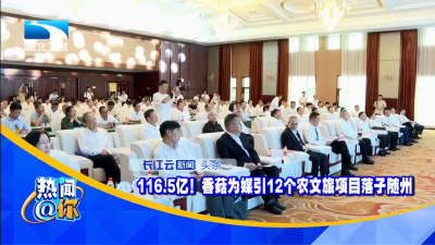 116.5亿！香菇为媒引12个农文旅项目落子随州