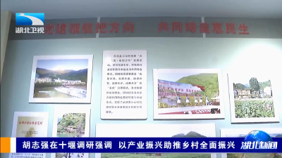 胡志强在十堰调研强调 以产业振兴助推乡村全面振兴