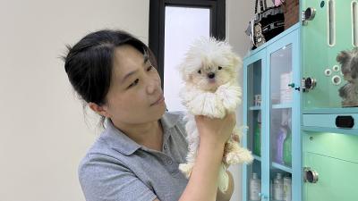 买栋别墅来养狗，“狗爸狗妈”年营收300万