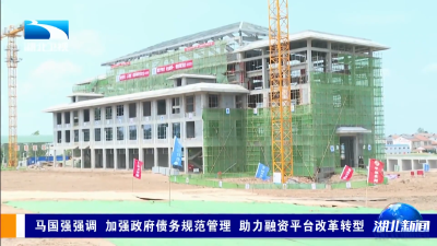 马国强强调 加强政府债务规范管理 助力融资平台改革转型