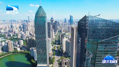 权威发布 | 湖北发布推进楚商回乡工作行动方案 89个重点楚商项目签约