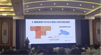 湖北集中推广31种粮油大面积单产提升技术