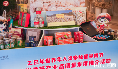 冲刺千亿元！全国“菌”师寻根随州为菇把脉