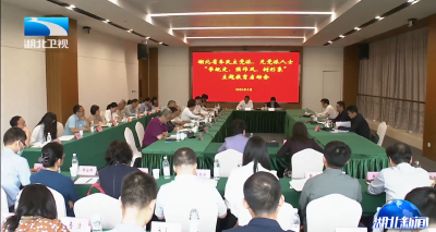 全省各民主党派、无党派人士“学规定、强作风、树形象”主题教育在汉启动