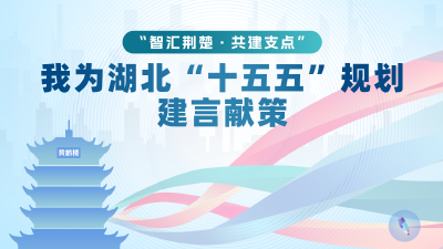 “智汇荆楚·共建支点” 我为湖北“十五五”规划建言献策