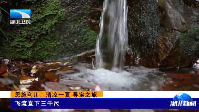 去山海找答案 | 恩施利川：清凉一夏 寻宝之旅