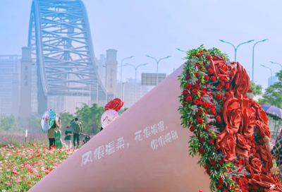 春夏限定！彩虹色花海惊艳武汉 
