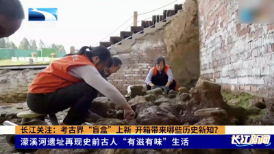 长江关注：考古界“盲盒”上新 开箱带来哪些历史新知？
